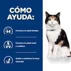Hill's Prescription Diet Thyroid Care y/d pienso para gatos, , large image number null